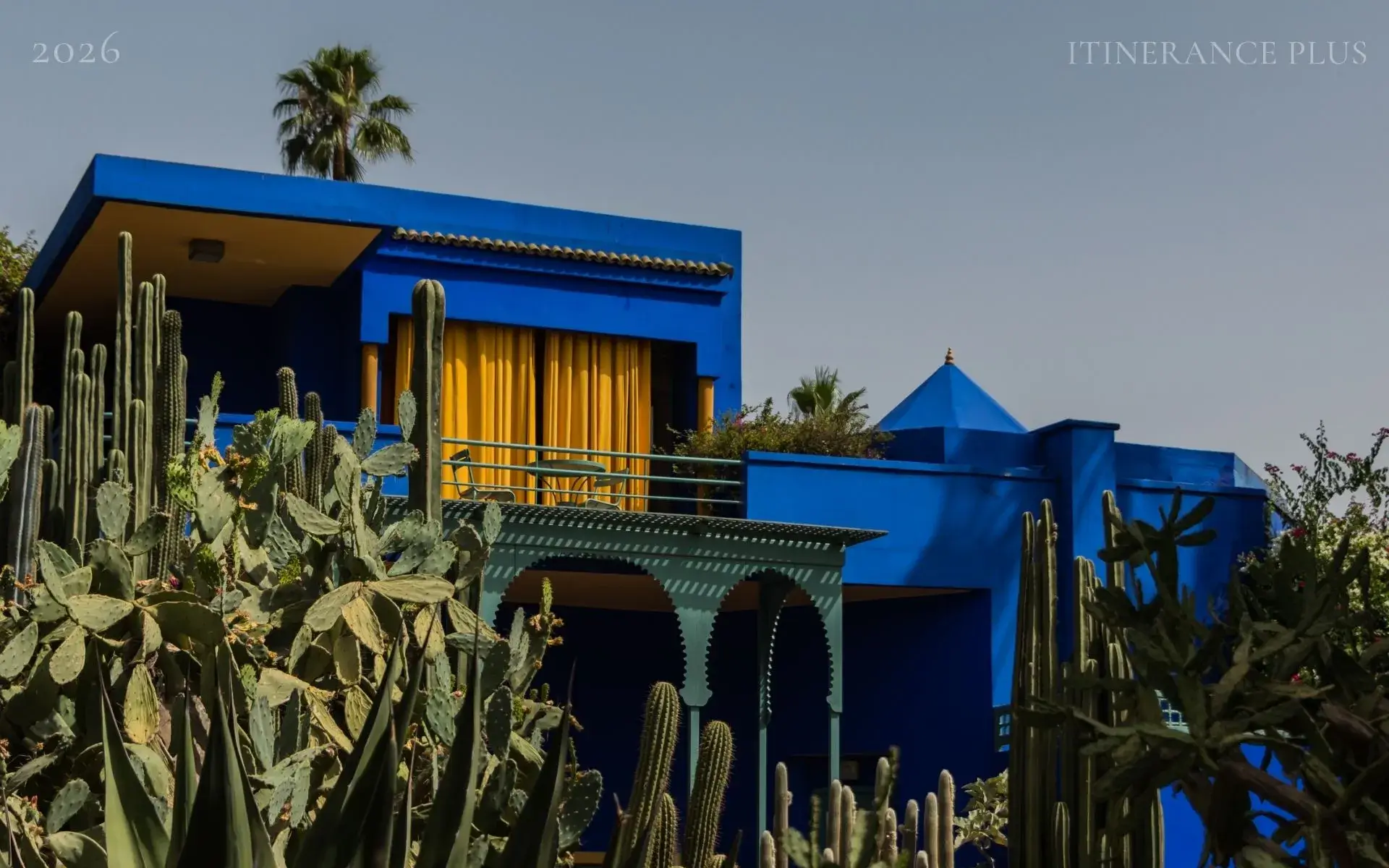 ¿Cómo desafía la vegetación del Jardín Majorelle al desierto?