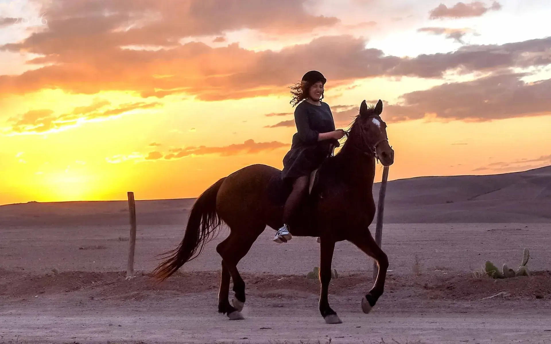 Excursión mujer sola Marrakech: la guía honesta - artículo de viaje sobre Marrakech y Marruecos | Itinerance Plus