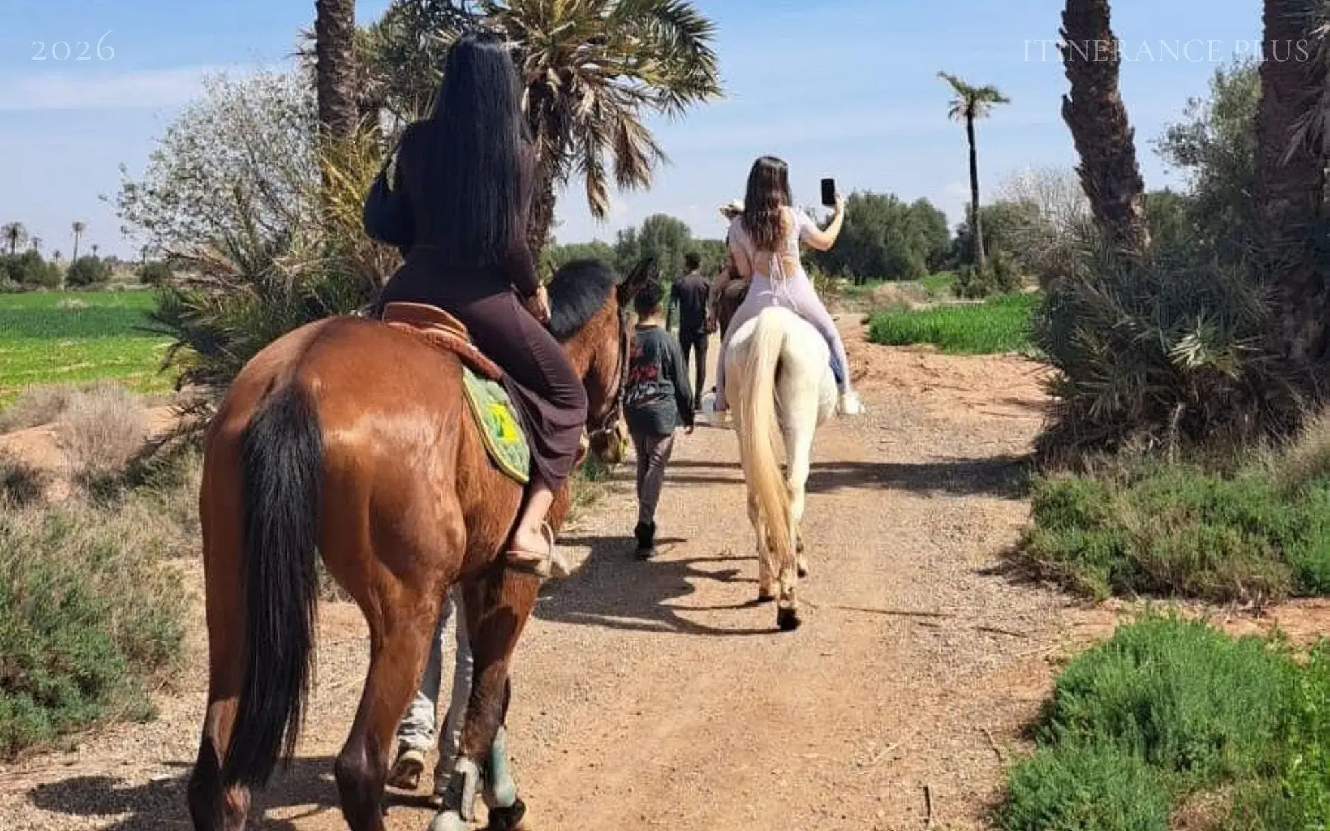 Paseo a Caballo por El Palmeral de Marrakech: Una Aventura Mágica Entre Palmeras en Marrakech, Marruecos - experiencia premium con Itinerance Plus