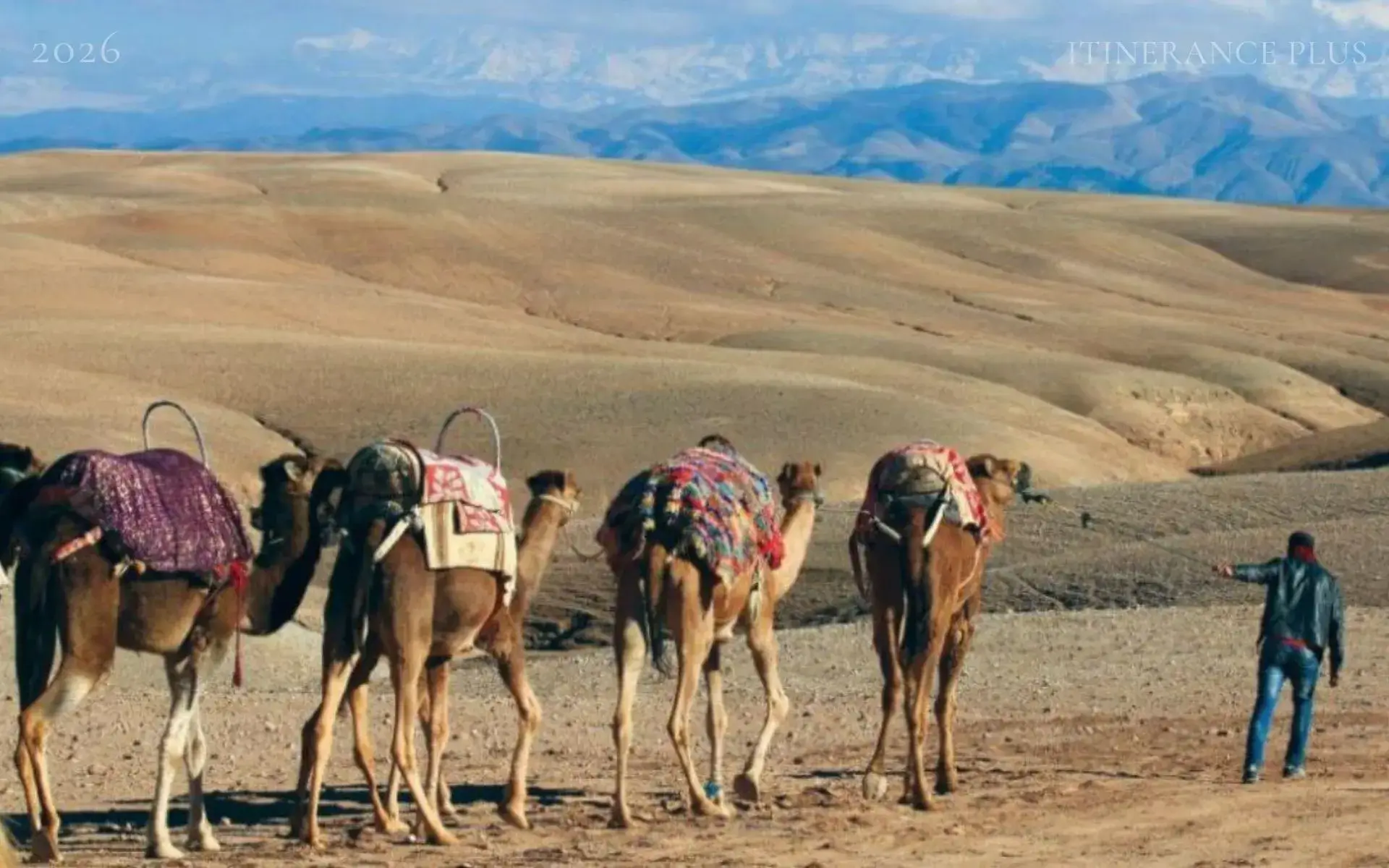 Camel ride, sunset and pool: cliché package or real deal? - Marrakech and Morocco travel article | Itinerance Plus