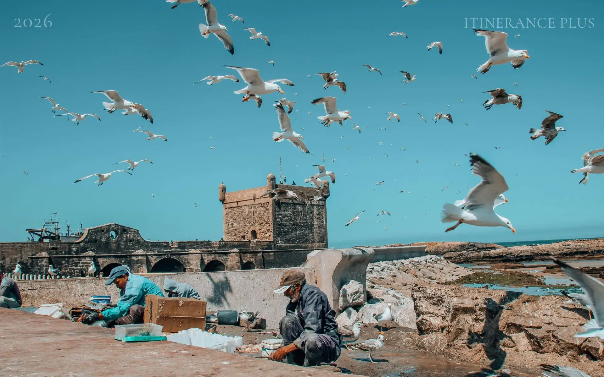 Excursion Essaouira au Départ de Marrakech à Essaouira au Maroc - excursion premium avec Itinerance Plus