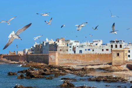 Vue de la médina dans L'excursion Essaouira au Maroc