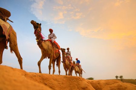 Balade Chameau à Marrakech – Découvrez la Beauté Naturelle de Marrakech