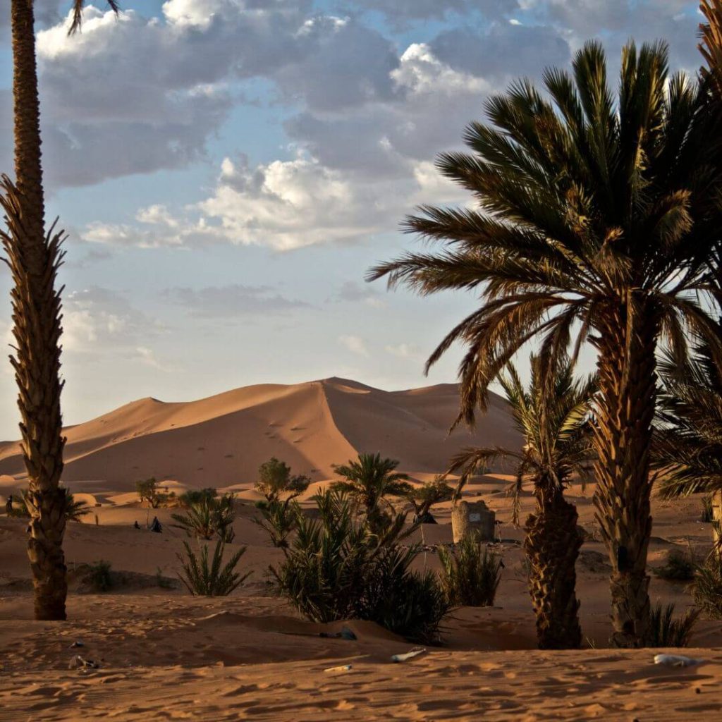 A Desert Oasis in the Sahara_