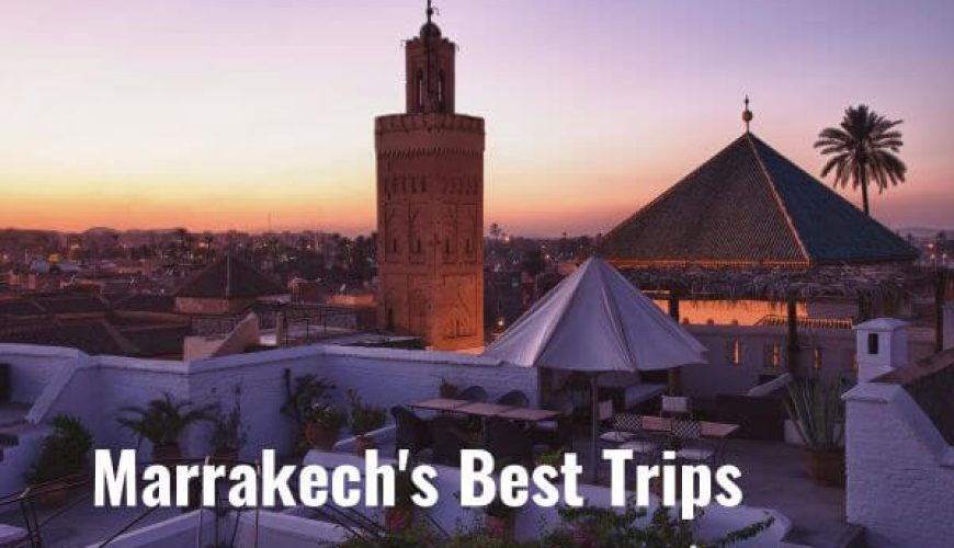 Marrakech's Best Trips