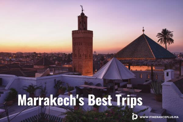 Marrakechs-Best-Trips