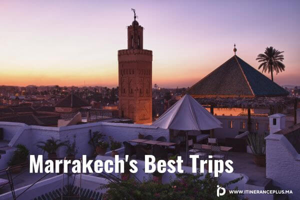 Marrakech's Best Trips