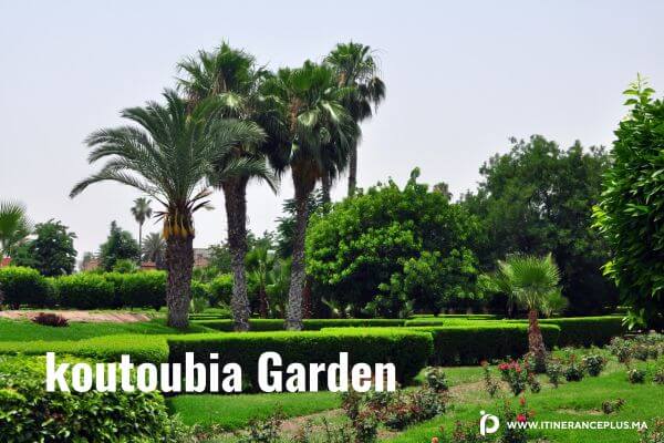 koutoubia garden