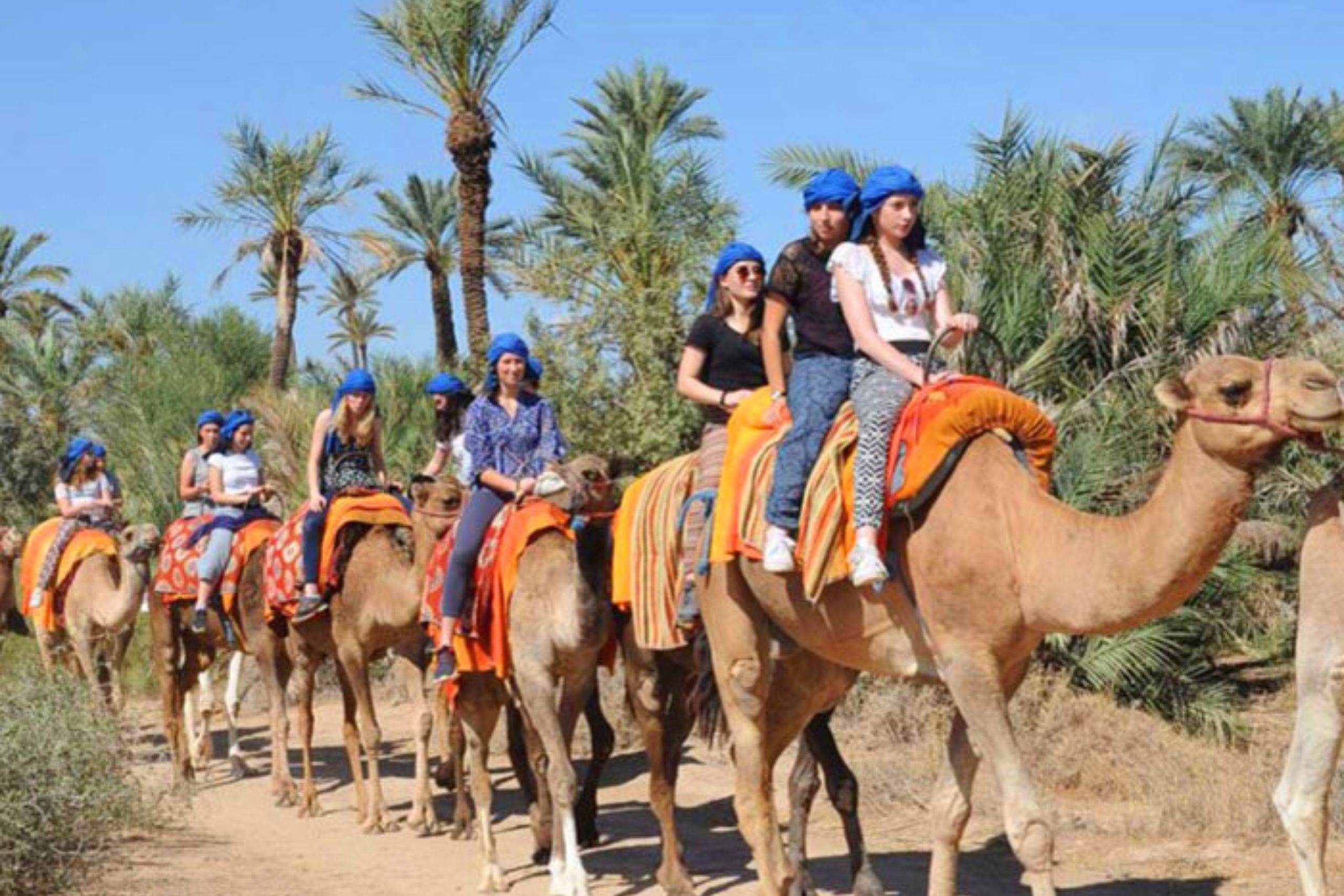 Balade en dromadaire au Maroc : vivez une aventure inoubliable